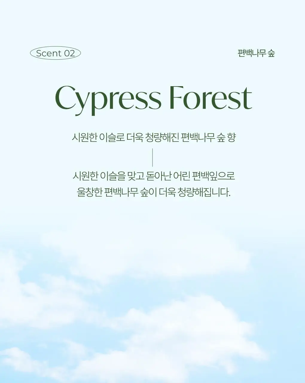 [신규향출시] 라운드어라운드 편백 클린 스프레이 90ml 단품/콜라보기획 상세페이지 23